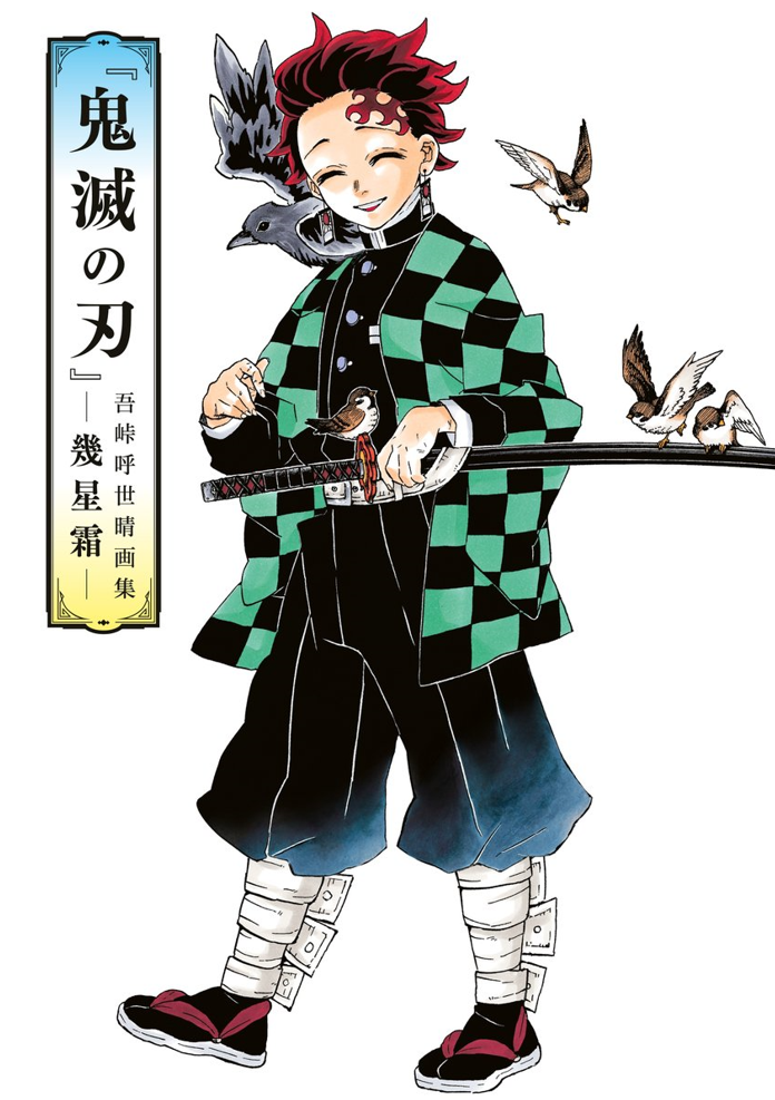 Demon Slayer: Kimetsu no Yaiba: Im Laufe der Jahre - Gesammelte Illustrationen von Koyoharu Gotouge Manga (Neu)