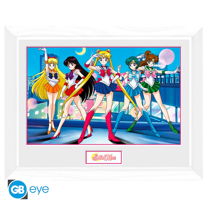 Sailor Moon - Gruppe - 30x40cm - Rahmenbild