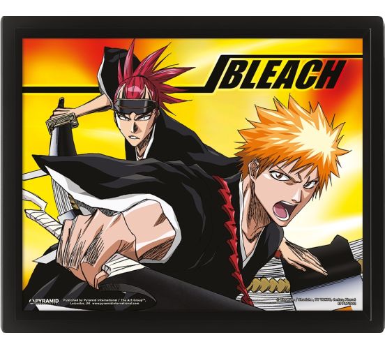 Bleach-Team-Up-26x20-3D-Rahmenbild-1