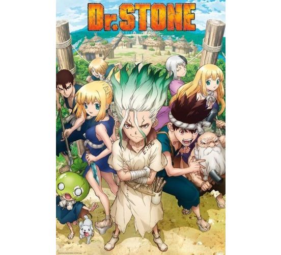 Dr-Stone-Group-915x61-Poster-1