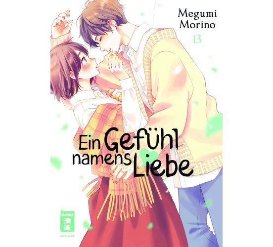 Ein-Gefuehl-namens-Liebe-13-Manga-Neu-1