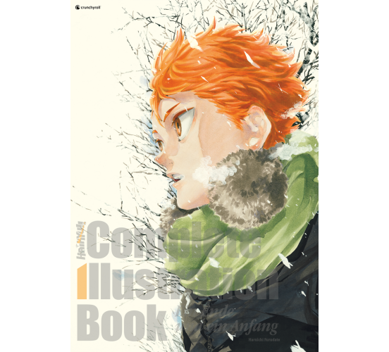 Haikyu-Artbook-Ein-Ende-und-ein-Anfang-Manga-Neu-1