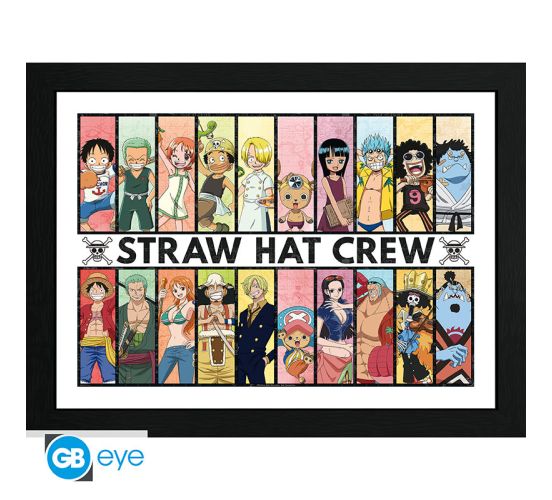 One-Piece-Past-Present-30x40cm-Rahmenbild-1 One-Piece-Past-Present-30x40cm-Rahmenbild-1