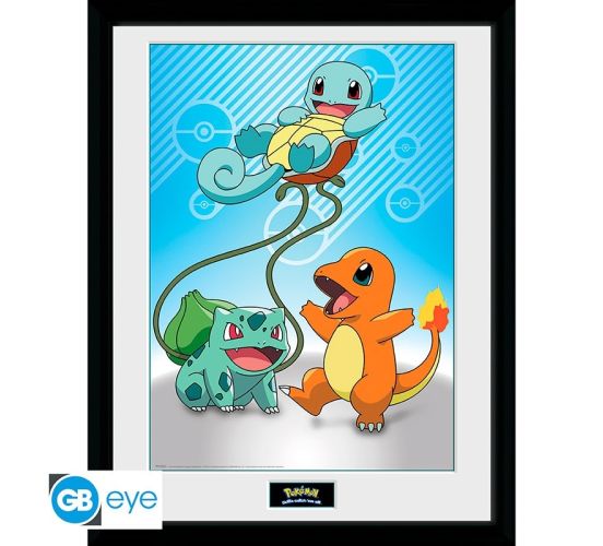 Pokemon-Kanto-Starter-30x40-Rahmenbild-1