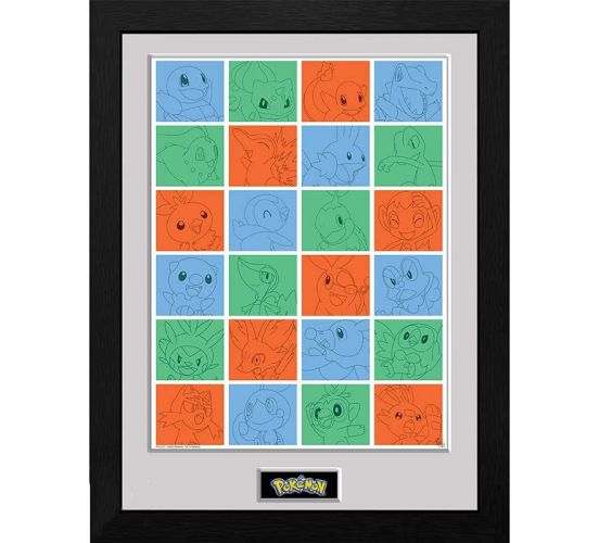 Pokemon-Starter-Pokemon-Raster-Gerahmtes-Bild-1