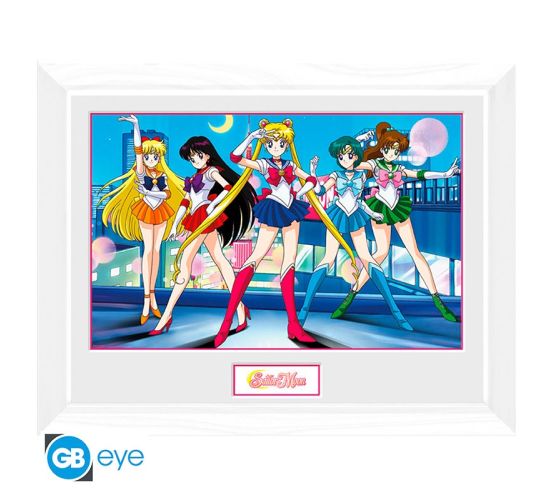 Sailor-Moon-Gruppe-30x40cm-Rahmenbild-1