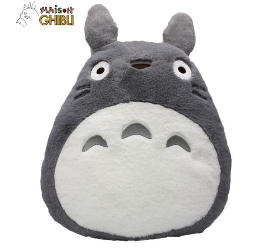 totoro6