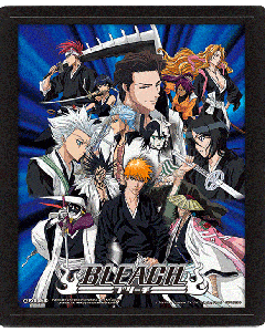 Bleach-Heroes-and-Villains-26x20-3D-Rahmenbild-1