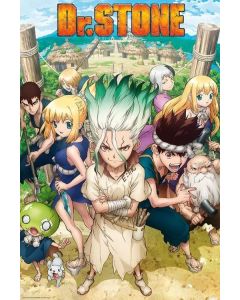 Dr-Stone-Group-915x61-Poster-1
