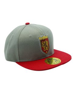 Harry-Potter-Gryffindor-rot-grau-Snapback-Kappe-1